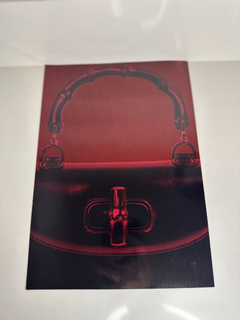 Gucci Cosmos Kyoto Japan Exhibition Brochure